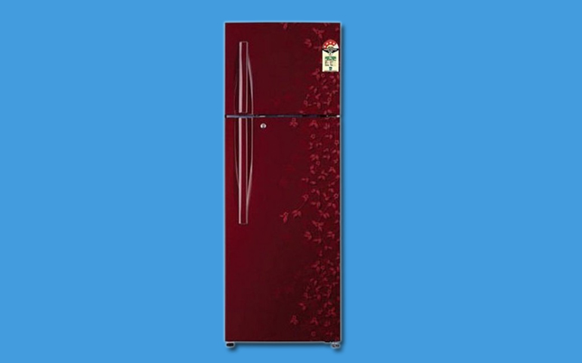 lg double door refrigerator service